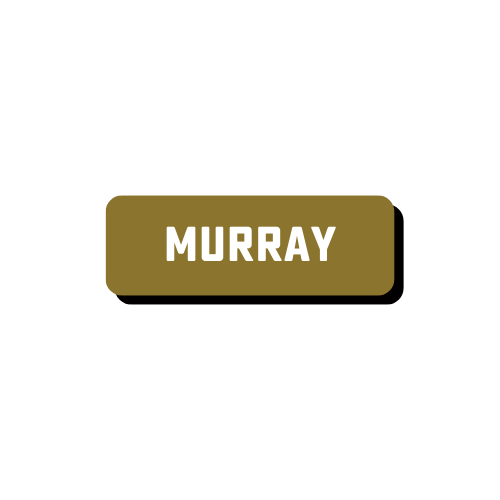 Murray, Kentucky (10)